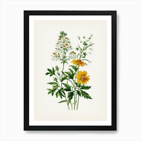 Vintage Botanical Galleria Style Wildflower Painting 24 Art Print