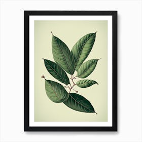 Wax Myrtle Leaf Vintage Botanical 1 Art Print