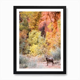 Wildlife With Autumn Leaves Art Print