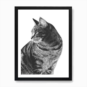 Cat Animal Portrait Art Print