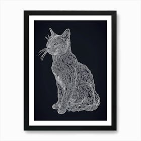 European Shorthair Cat Minimalist Illustration 3 Art Print