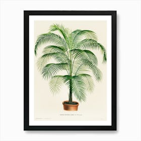 Palm Tree Art Print