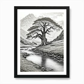 highly detailed pencil sketch of oak tree next to stream, mountain background 2 Art Print