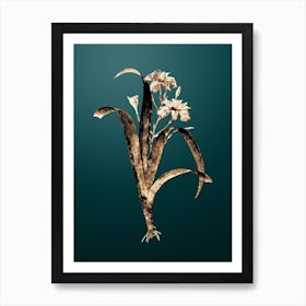 Gold Botanical Iris Fimbriata on Dark Teal n.0154 Art Print