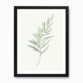 Artemisia Leaf Minimalist Watercolour Art Print