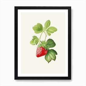 Everbearing Strawberries, Plant, Marker Art Illustration 1 Art Print