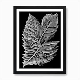 Sweet Birch Leaf Linocut 1 Art Print