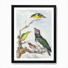 Vintage Bird Art Print_2835779 Art Print