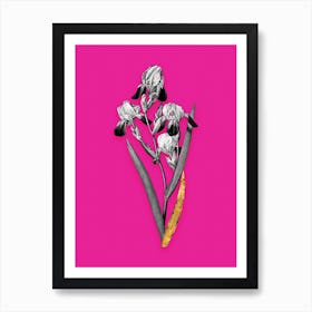 Vintage Elder Scented Iris Black and White Gold Leaf Floral Art on Hot Pink n.0235 Art Print