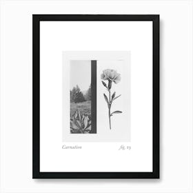 Carnation Botanical Collage 3 Art Print