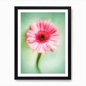 The Pink Flower Art Print