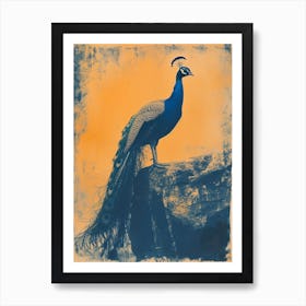 Orange & Blue Peacock On A Rock 4 Art Print