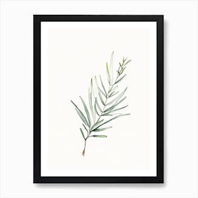 Rosemary Leaf Minimalist Watercolour 2 Art Print