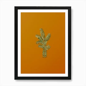 Vintage English Yew Branch Botanical on Sunset Orange n.0395 Art Print