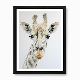 Giraffe 2 Art Print