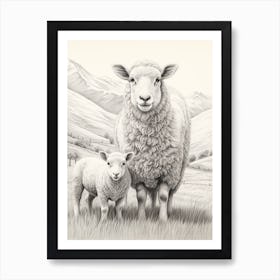 Black & White Illustration Of Highland Sheep With Lamb 2 Art Print