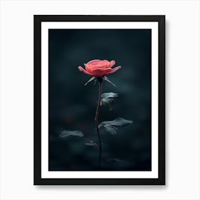 Single Rose 4 Art Print