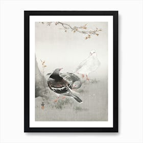 Three Pigeons (1900 1930), Ohara Koson Art Print