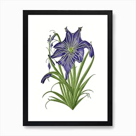 Spiderwort Wildflower Vintage Botanical Art Print