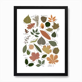 Leaf Chart Art Print