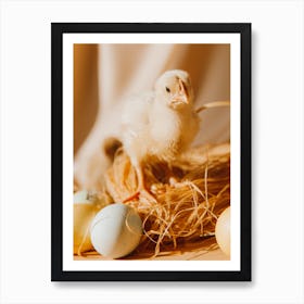 Easter Chick 5 Art Print