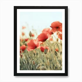 Poppies In The Field Art Print