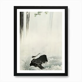 Japanese wagtail at waterfall Art Print