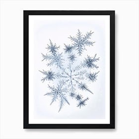 Fernlike Stellar Dendrites, Snowflakes, Quentin Blake Illustration 2 Affiche