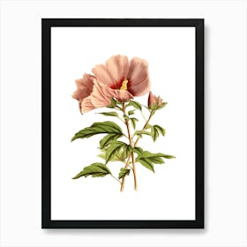 Hibiscus Flower 11 Art Print