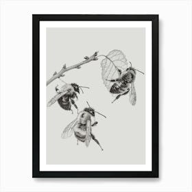 Leafcutter Bee Storybook Illustration 1 Art Print