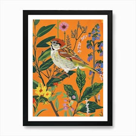 Spring Birds Sparrow 4 Art Print