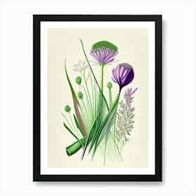 Chives Spices And Herbs Retro Drawing 1 Art Print