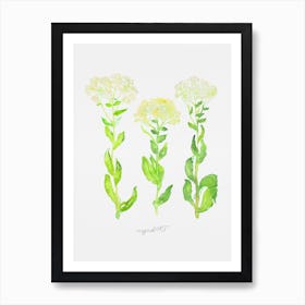 Roadside cress Art Print