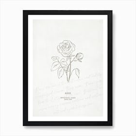 Rose Birth Flower | Antique Art Print