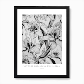 Orchid B&W Vintage Botanical Poster Art Print