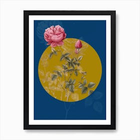 Vintage Botanical Pink Autumn China Rose on Circle Yellow on Blue n.0238 Art Print