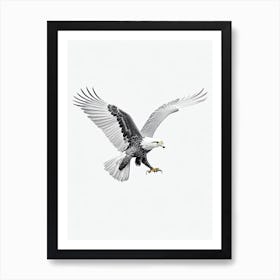 Eagle B&W Pencil Drawing 2 Bird Art Print