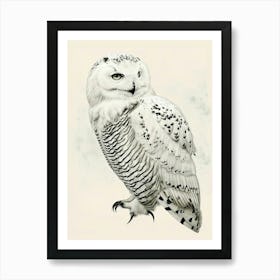 Snowy Owl Vintage Illustration 1 Art Print