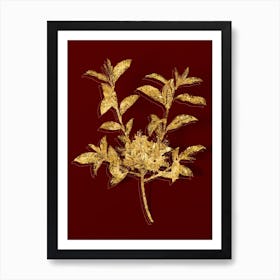Vintage Azalea Botanical in Gold on Red n.0277 Art Print
