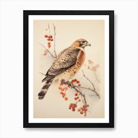 Vintage Bird Drawing Red Tailed Hawk 3 Art Print