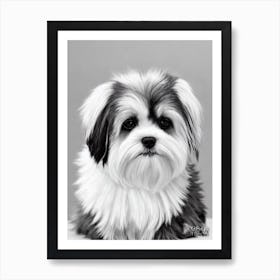 Lhasa Apso B&W Pencil Dog Art Print