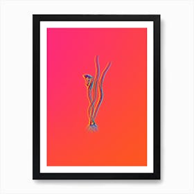 Neon Ornithogalum Spathaceum Botanical in Hot Pink and Electric Blue n.0103 Art Print