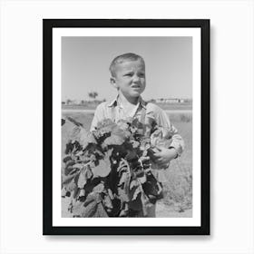 Little Boy With Sack Of Vegetables From The Community Garden At The Casa Grande Valley Farms, Pinal County 1 Art Print