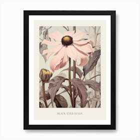 Floral Illustration Black Eyed Susan 3 Poster Art Print