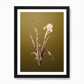Gold Botanical Crimean Iris on Dune Yellow n.0137 Art Print