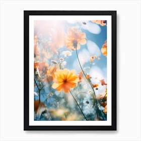 Cosmos Flowers Art Print