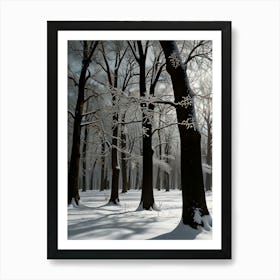 Winter Forest 5 Art Print