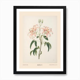 Himeyuri Okinawan Lily 1 Vintage Japanese Botanical Poster Art Print