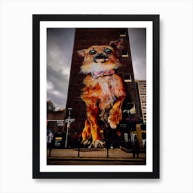 Dog On A Building Art Print