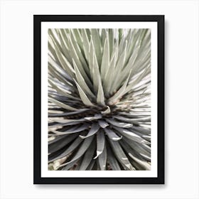 Desert Apple Art Print